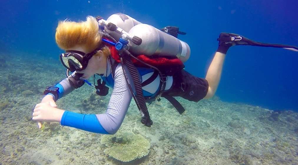 Technical diver with twin cylinders swimming over a reef
