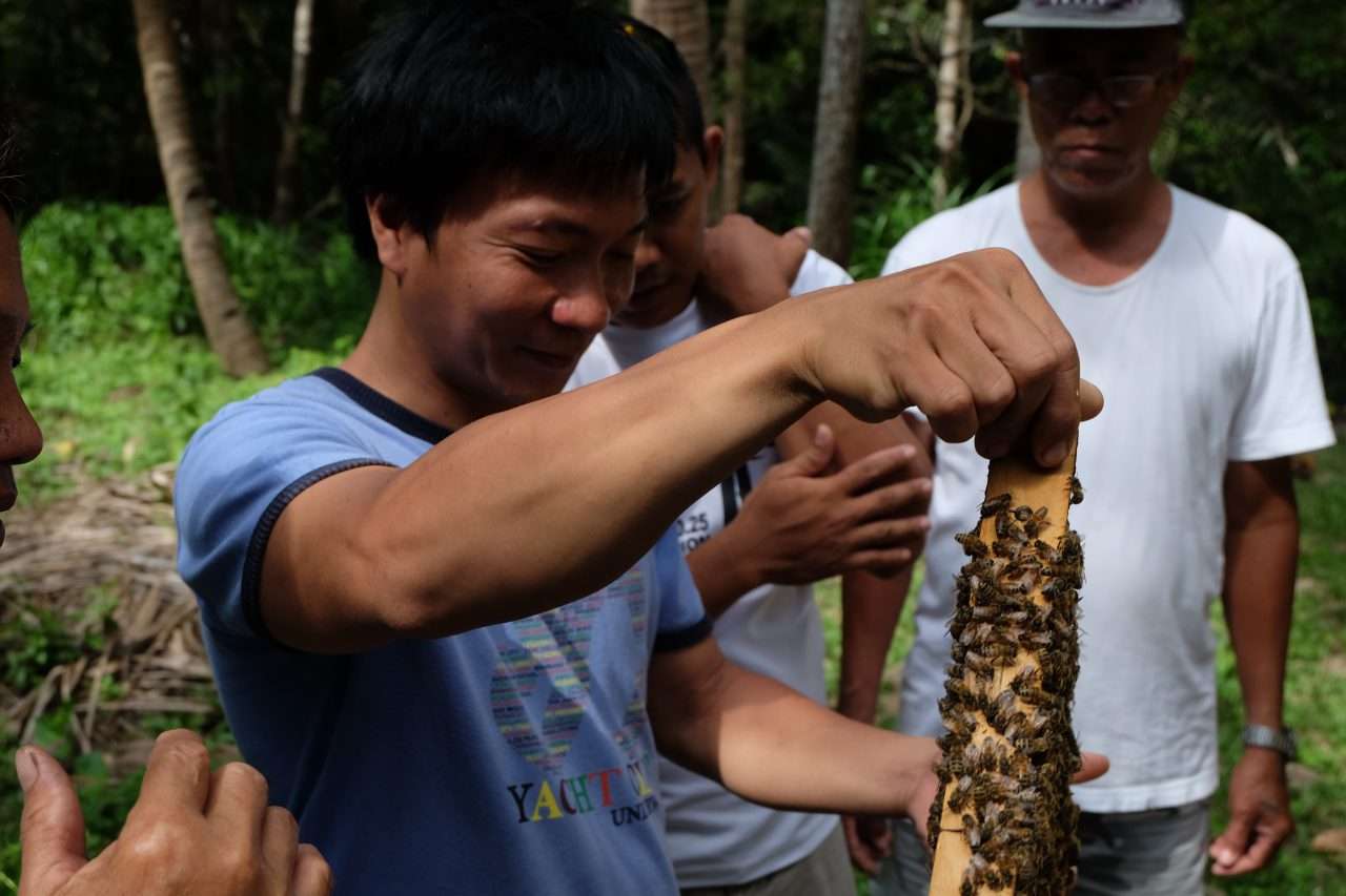 A local beekeeper lifting a bar covered in honeybees from a hive while others look on
