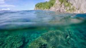 Split above-and-below water view of a coral reef and limestone cliffs at Apo Island