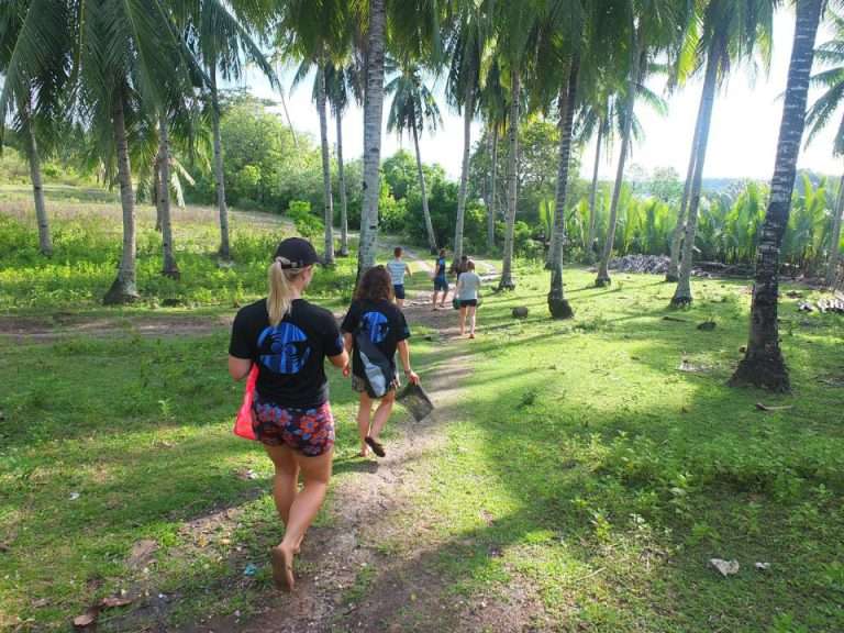 Volunteers walking along a palm-lined path at MCP