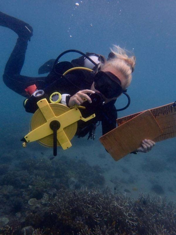 Diver using a measuring reel to survey a coral reef transect line