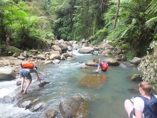 Group exploring a forest river and waterfall area, a popular day-trip destination near MCP