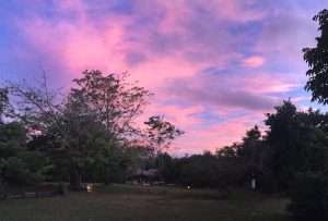 Pink and purple sunset sky over MCP's grounds, with dorm buildings and trees silhouetted below