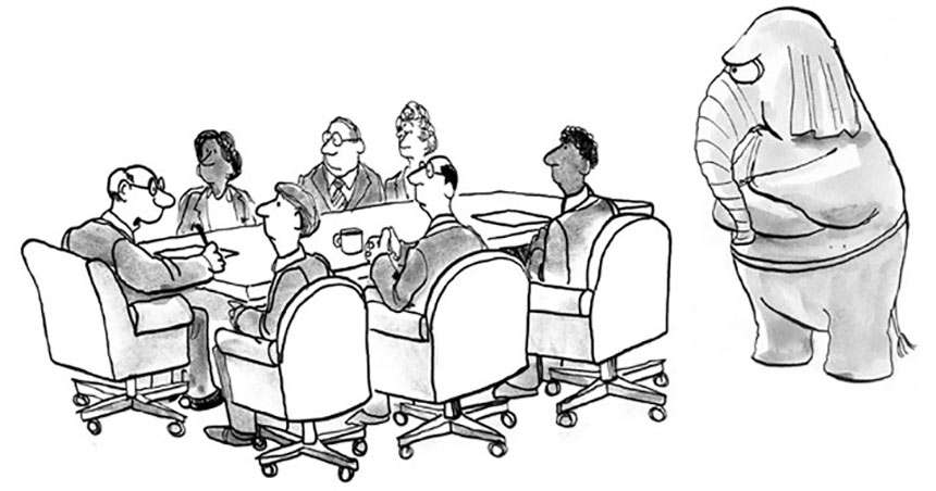 Cartoon of a meeting around a boardroom table, with a grumpy elephant standing just behind the chairs while everyone ignores it