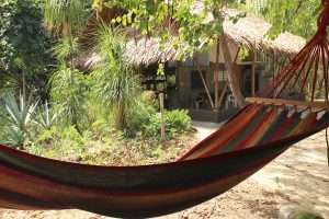 A striped hammock strung near MCP's open-air thatched-roof kitchen and dining area