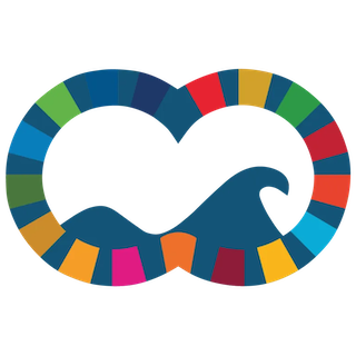 PRO OCEAN logo