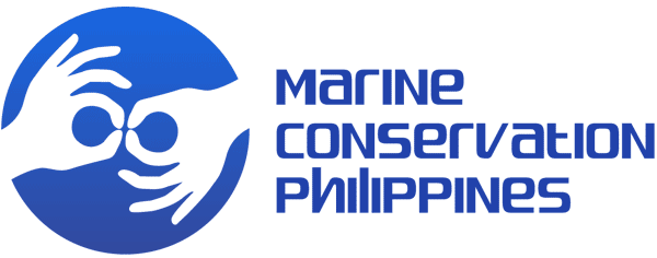 Volunteer in Marine Conservation