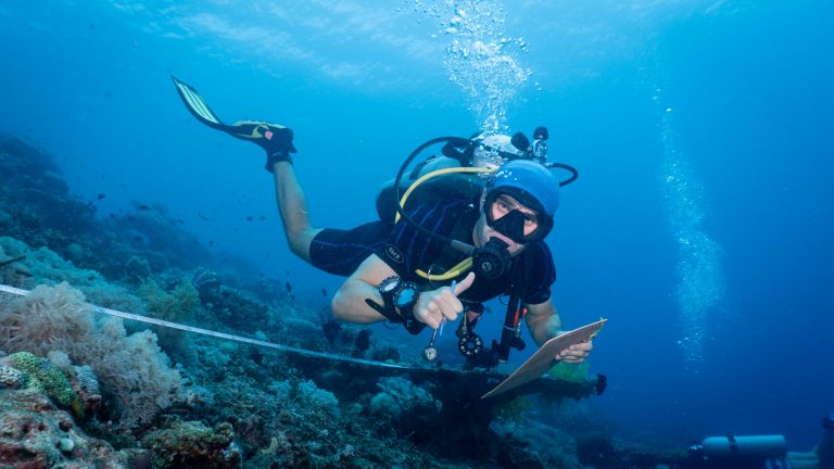 Survey diver with a slate following a transect tape over a coral reef