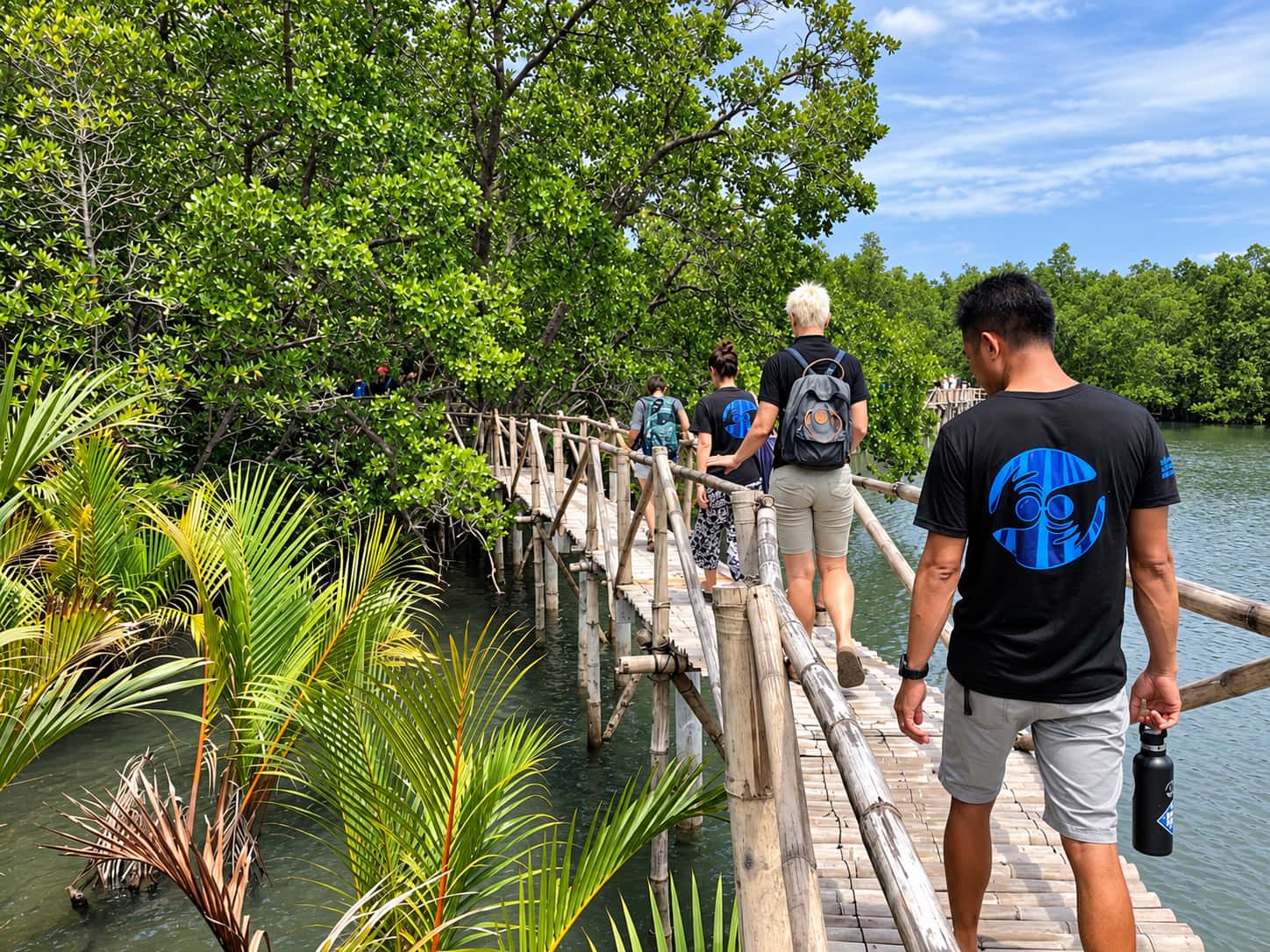 A group from MCP walking in single file along a bamboo boardwalk through the mangroves